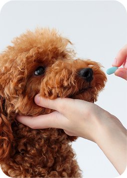 Farmaci veterinari in farmacia